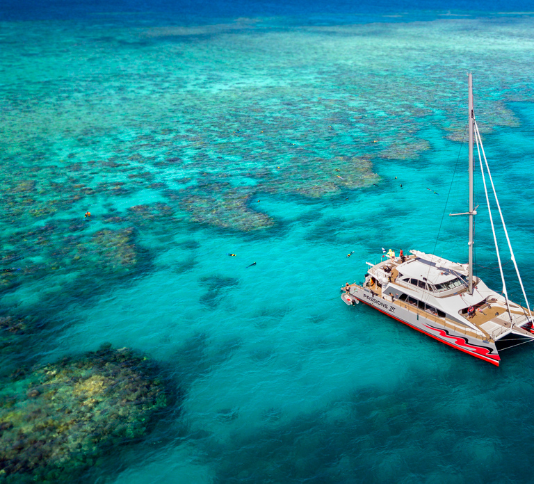 From Cairns: Great Barrier Reef Cruise by Premium Catamaran