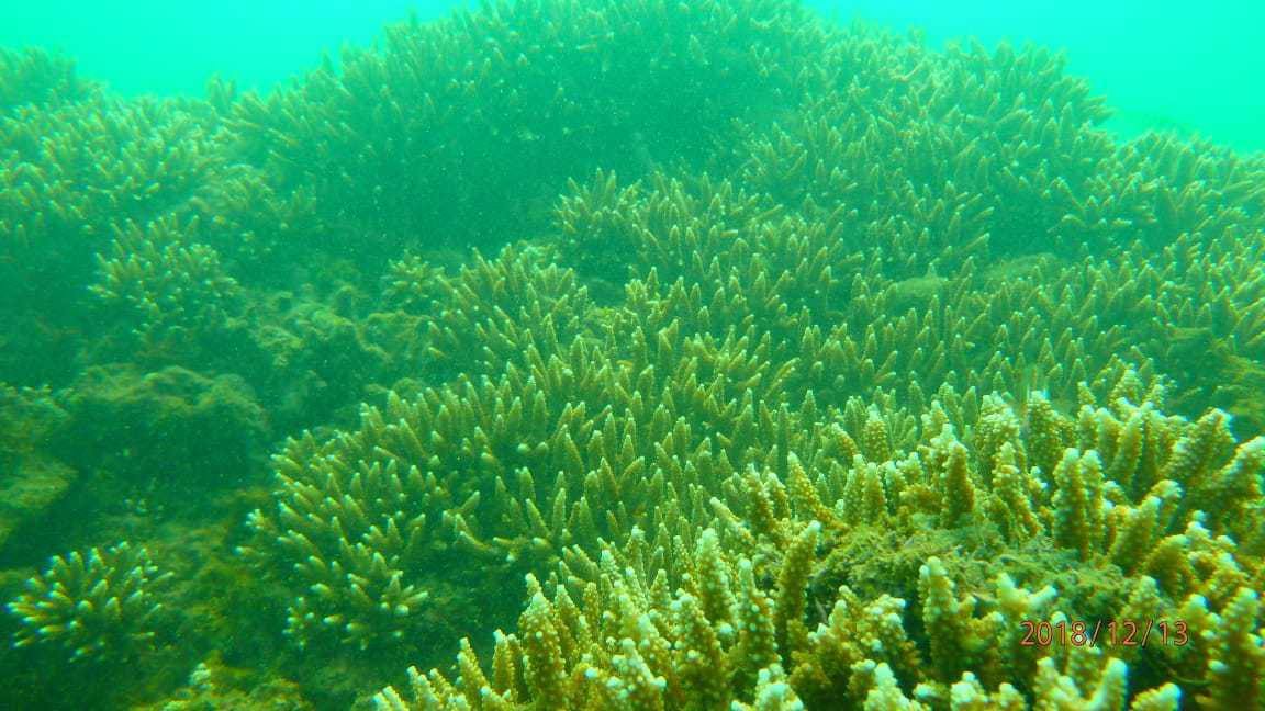 Secret Island Hopping Tour Ciletuh - HolidaySG