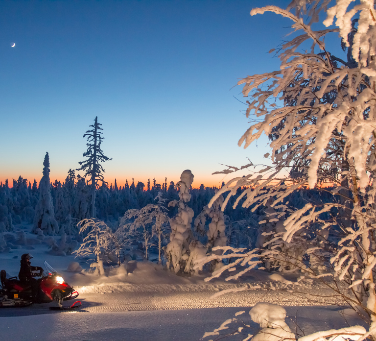 Rovaniemi: Snowmobile Safari & Campfire Evening Escape