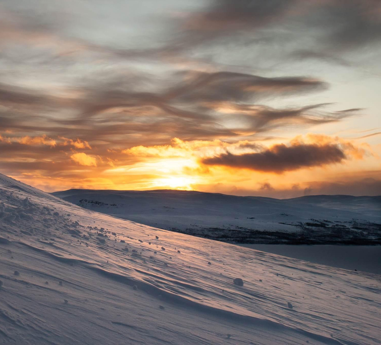 Ylläs: Guided Snowshoeing Adventure to Kesänki Fell