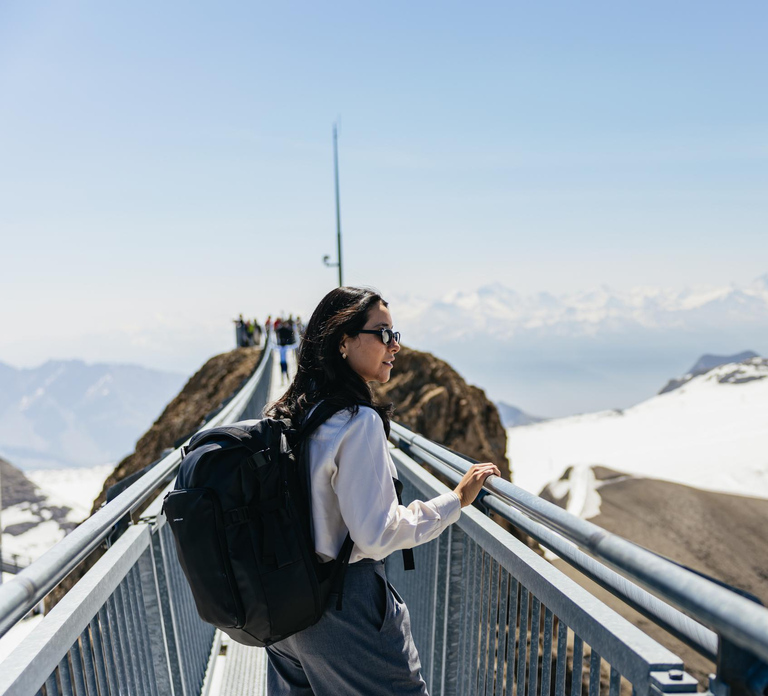 Geneva: Glacier 3000 Experience and Montreux