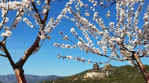 Mutianyu Great Wall and Summer Palace Day Trip with English Speaking Driver