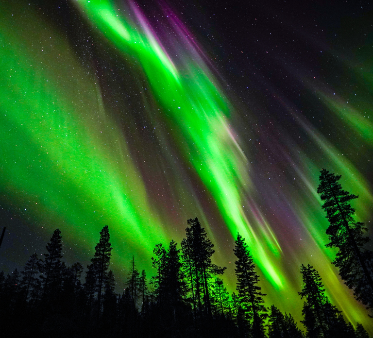 From Rovaniemi: Family-Friendly Northern Lights Tour