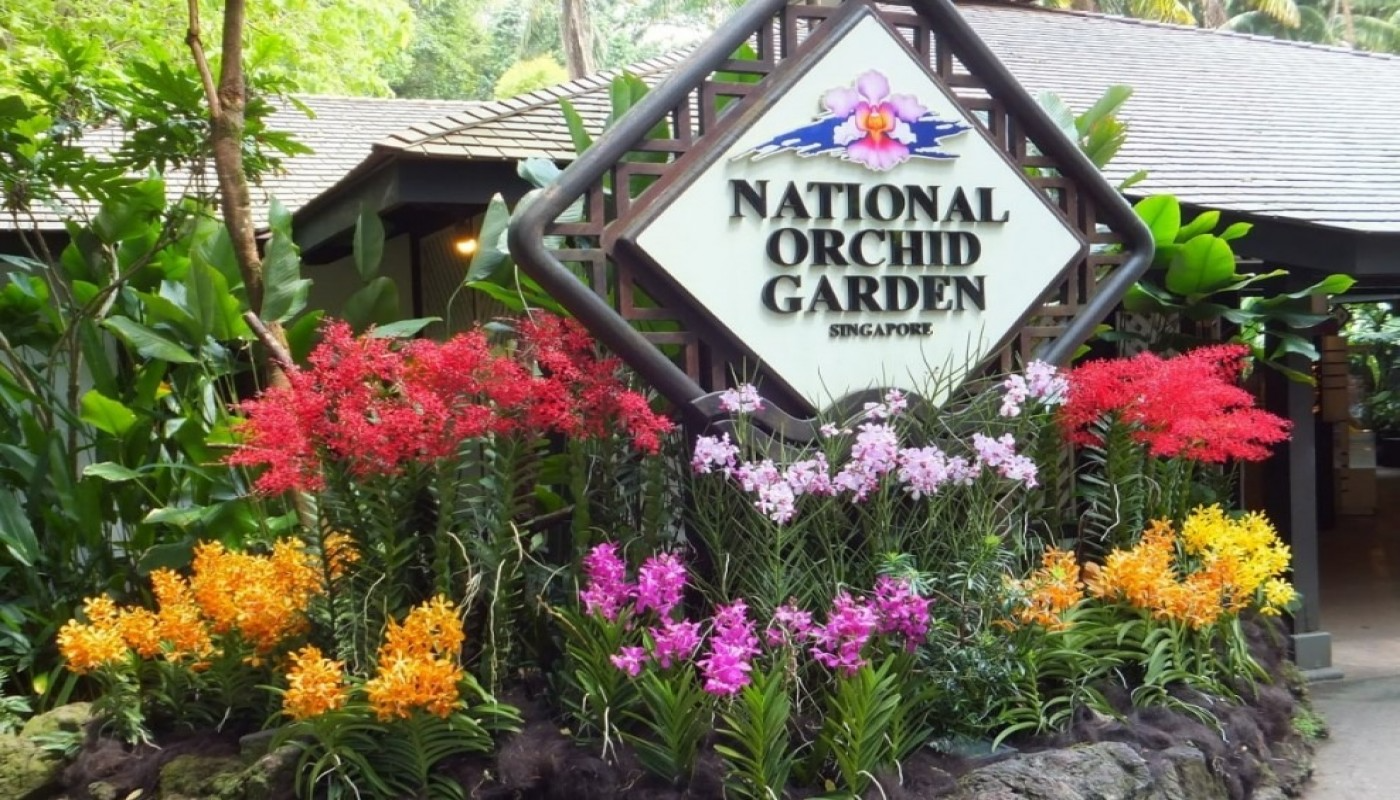 National Orchid Gardens - HolidaySG