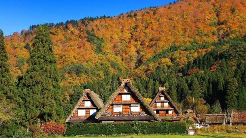 Nagoya Shirakawa-go Gassho Village + Hida Takayama Day Tour|Two daily departures