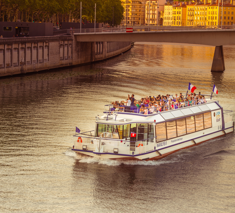 Lyon: 50-Minute Festival of Lights Sightseeing Cruise
