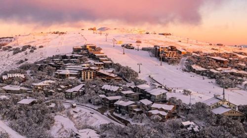 1-day tour to Mt Buller Ski in Melbourne [Snow Viewing/Skiing]|City transfer|Professional coach