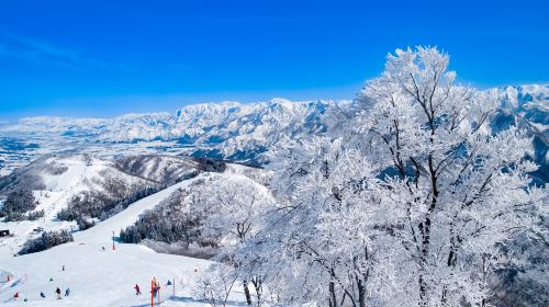 Kagura Snow Resorts