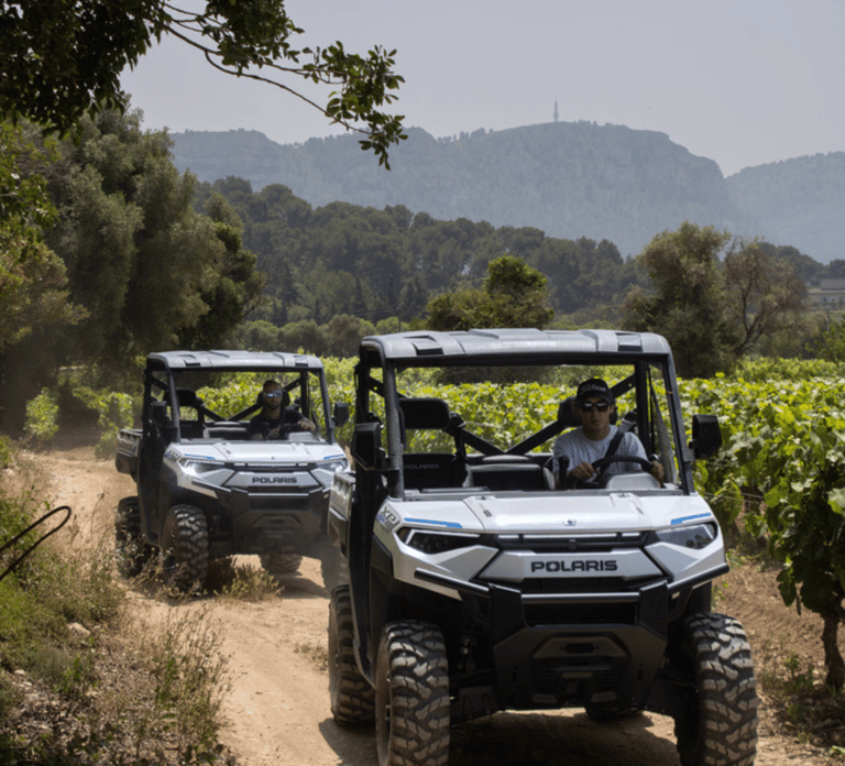 Cassis: discover the AOC Cassis estates in an electric buggy
