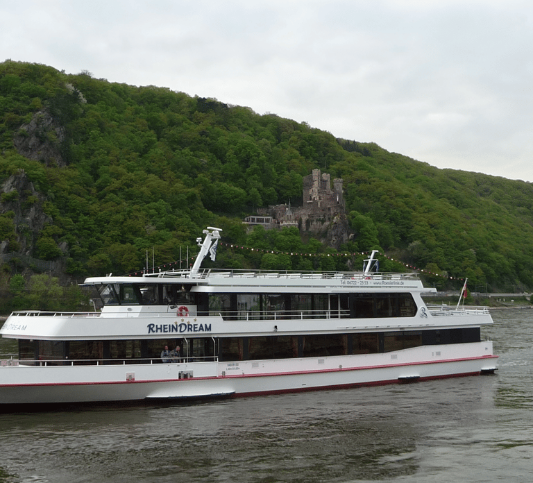 Rüdesheim am Rhein: Christmas Boat Cruise on the Rhine