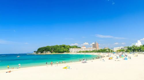 1-day tour to Shirahama beach in Wakayama: Seafood market + Engetsu island Sandanbeki cliffs Senjojiki rock plateau | Small group optional