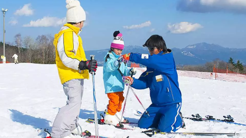 Japan Tokyo Mount Fuji 2nd Station skiing 1-day tour with 2-hr professional instructor guidance for beginners Day Tours