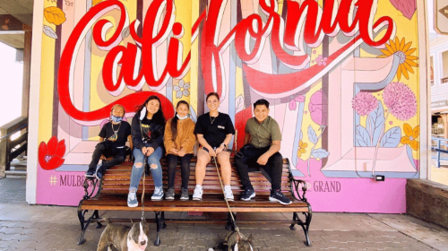 San Francisco Walking Instagram Tour Private & All Inclusive Day Tours