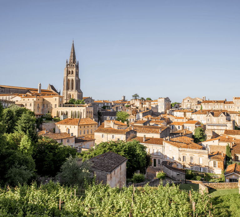 From Bordeaux: Saint-Émilion Half-Day Tour with Wine Tasting