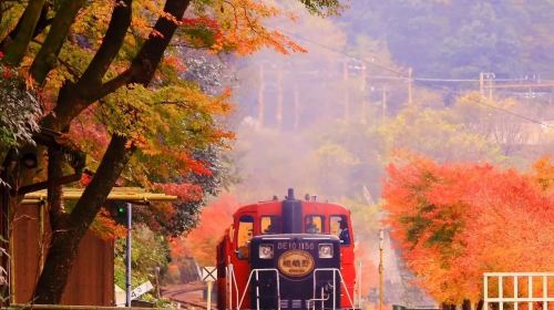 1-day tour to Kyoto's Arashiyama and Togetsukyo Bridge, exploring hidden attractions in Kyoto and encountering cherry blossoms and bamboo groves Day Tours