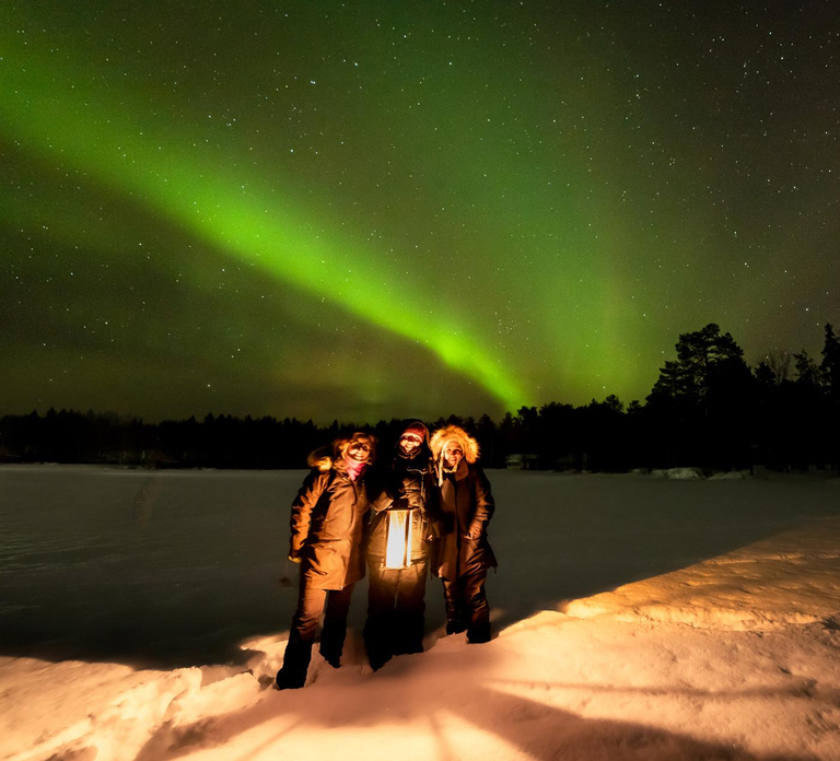 Levi: Northern Lights Tour by Minivan