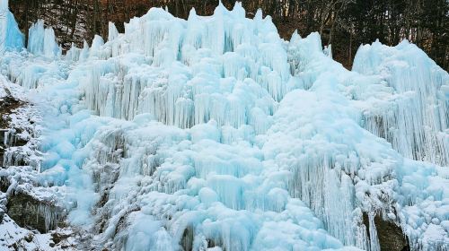 Winter-exclusive|Eobi Valley Glacier X Fresh Strawberry Picking X Nami Island X Garden of Morning Calm Lighting Festival Day Tours