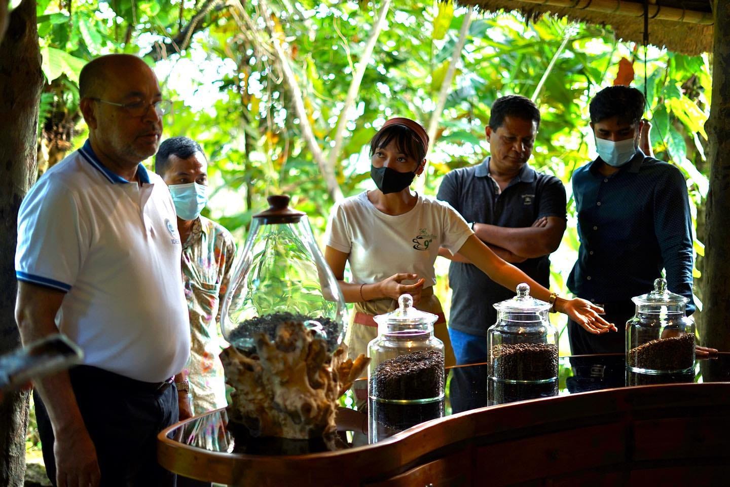 Coffee Experience by Bali Pulina