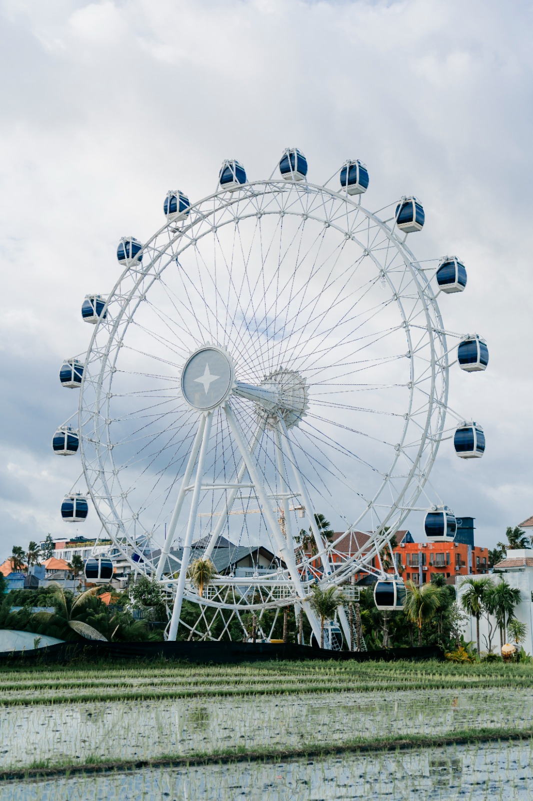 The Wheel Bali