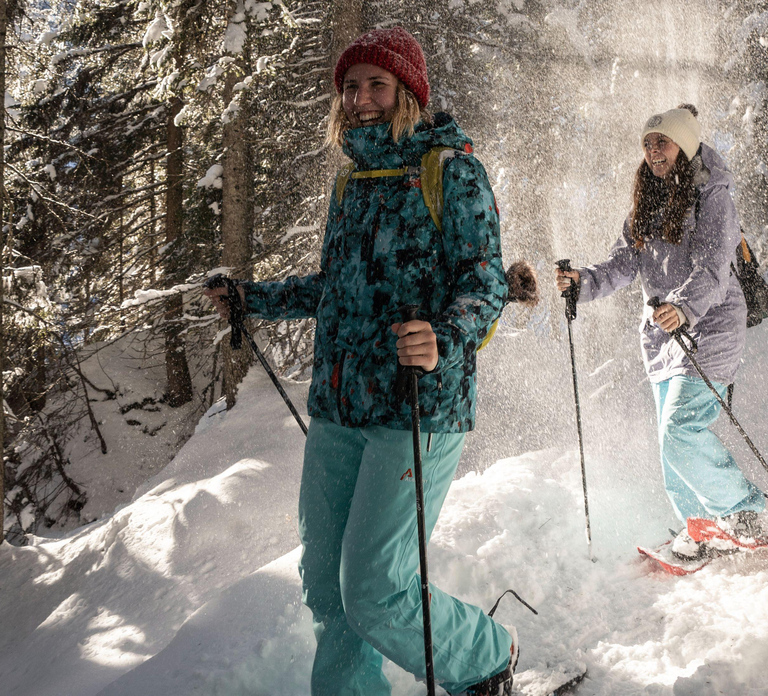 From Interlaken: Wetterhorn Trail Snowshoe Hiking Tour