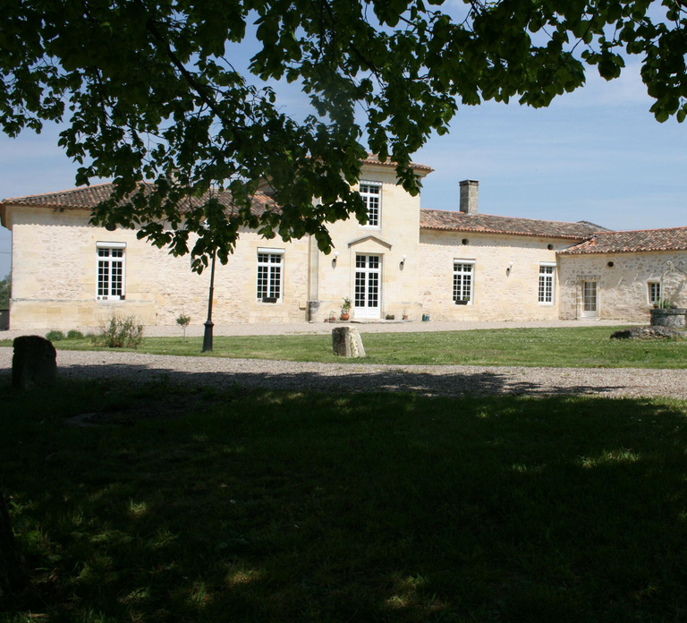 Château l'Insoumise: tour of the cellars and vineyard with tasting