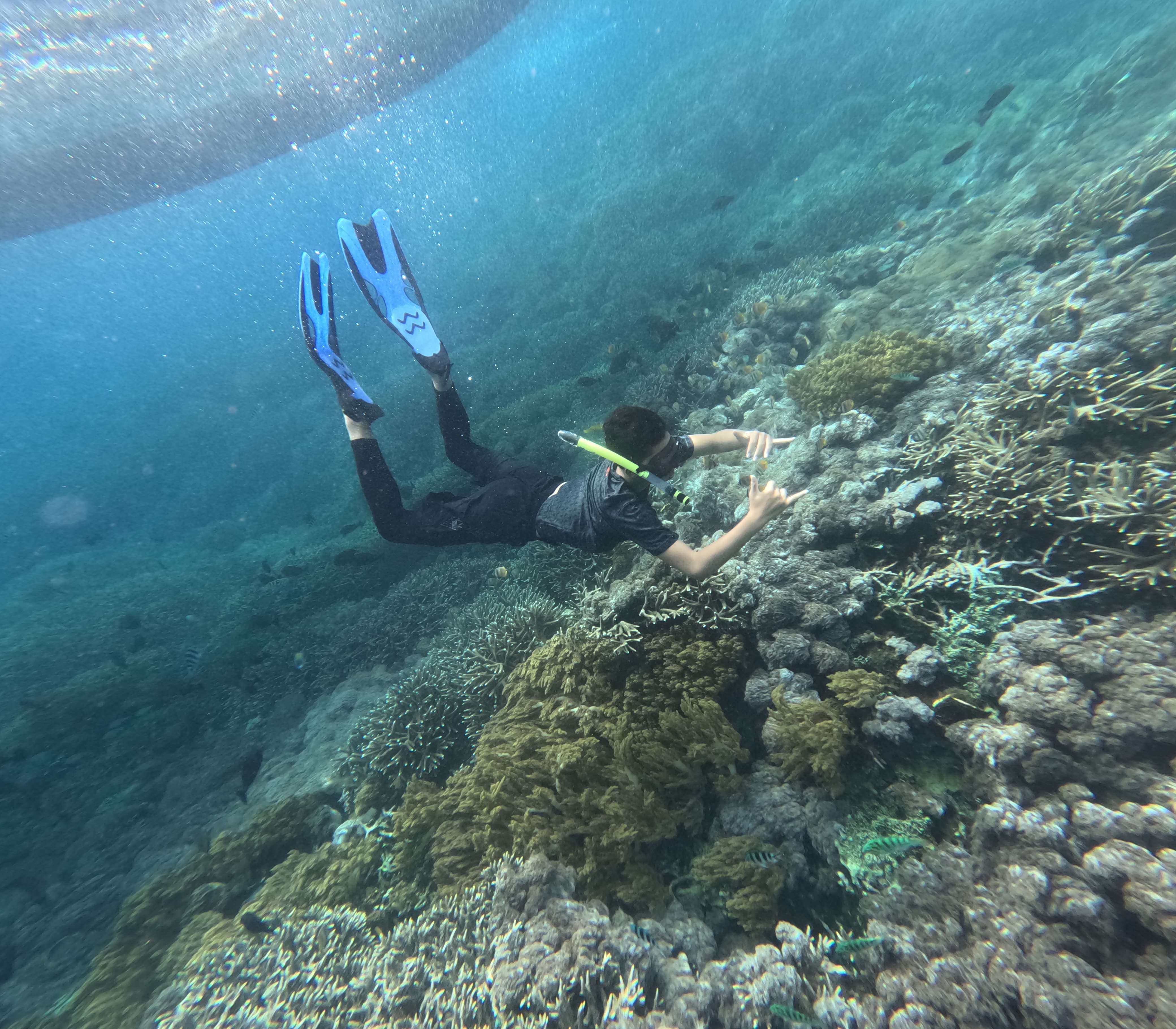 4 Point Snorkeling Safari - HolidaySG