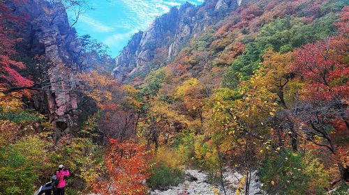 Seoul: Mt.Seorak, Nami Island & Korean Garden, No Shopping Day Tours