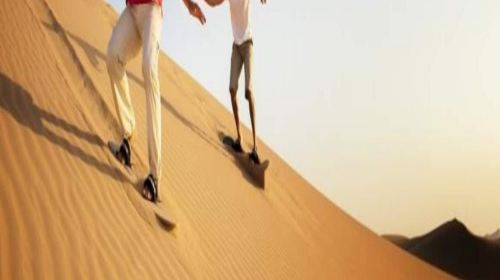Half-Day Desert Off-Road Adventure at Dubai's Red Sand Dunes 118416 Day Tours