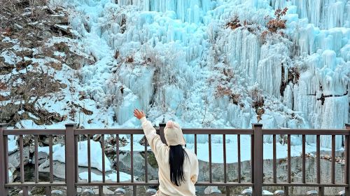 Winter-exclusive|Eobi Valley Glacier X Fresh Strawberry Picking X Sledding Field X Sheep Ranch Day Tours