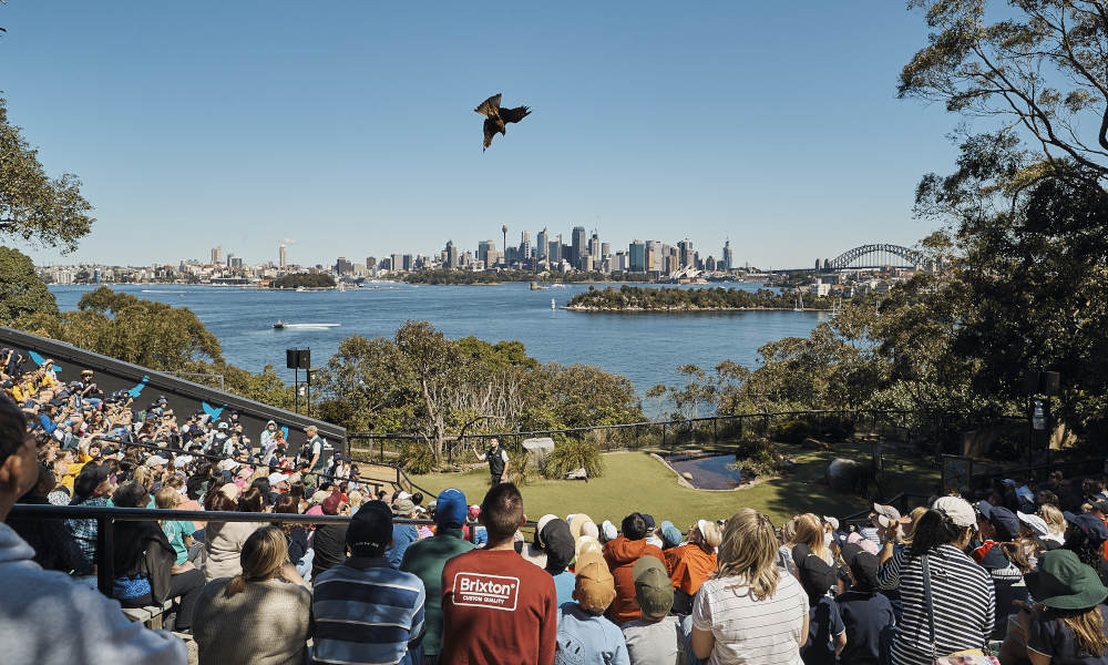 Taronga Zoo Sydney