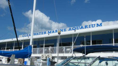 Clearwater Marine Aquarium