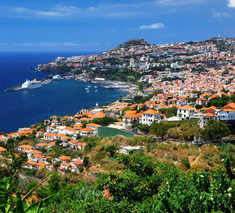 Funchal: Hop-On Hop-Off Bus Tour