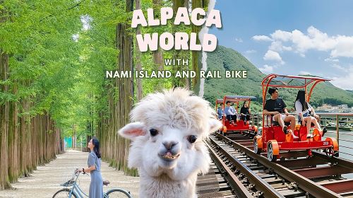 Alpaca World and Nami Island with Gangchon Rail Bike Tour Day Tours