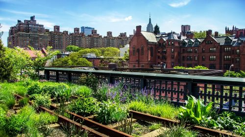 Meatpacking District: Chelsea Market and The Highline Tour Day Tours