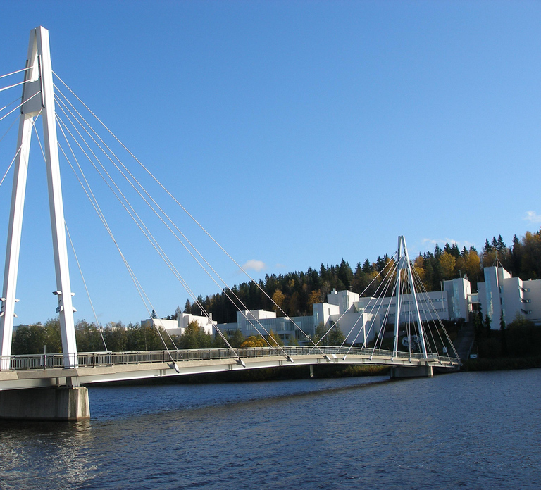 Jyväskylä: Finnish Homestay Experience with Meals