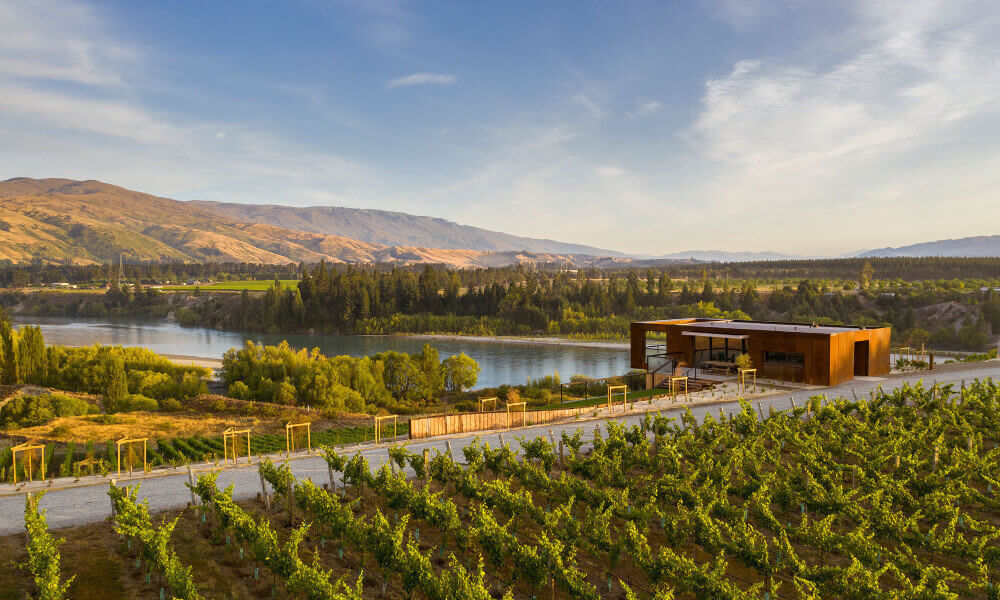 Central Otago Full Day Wine Tour