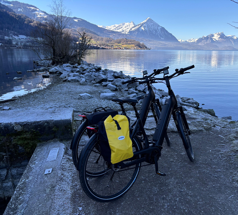 Interlaken Winter E-Bike Tour: Rivers, Lakes & Forests