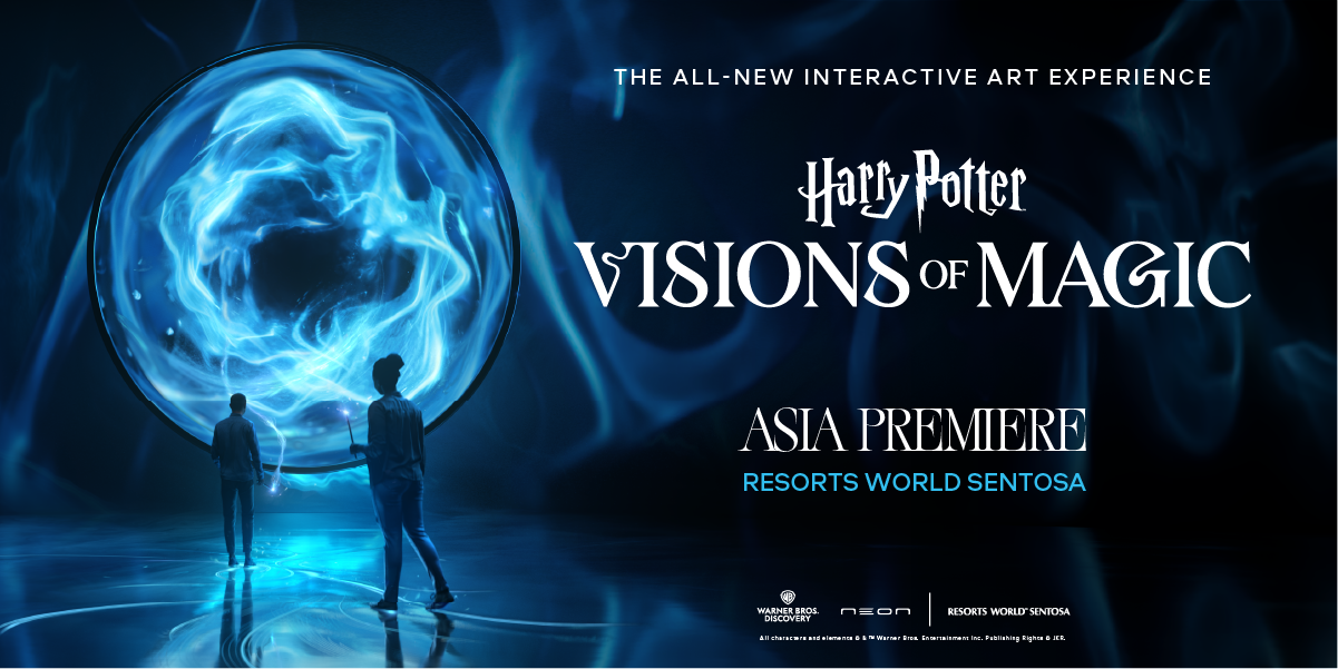 Harry Potter Visions of Magic