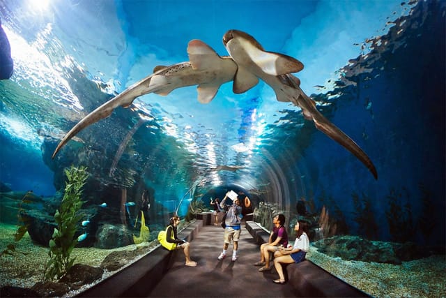Underwater World Pattaya - HolidaySG