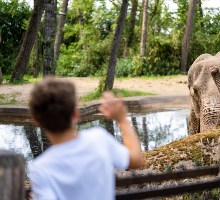 Arnhem: Burgers' Zoo Entry Ticket