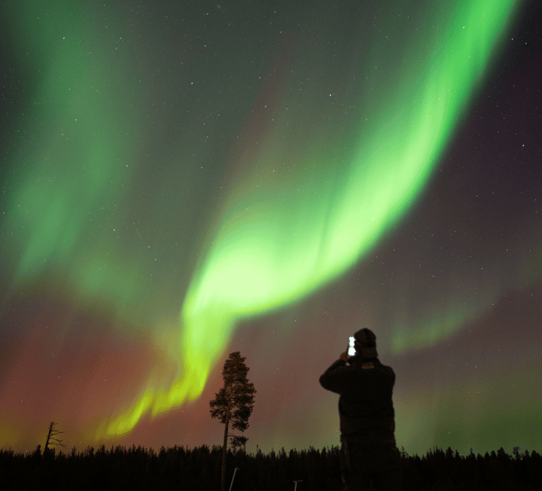 Lapland: Aurora Hunting by Minivan with Guide and Transport