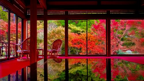Kyushu autumn foliage limited day tour: Dazaifu, Kunean Temple, Mifuneyama Rakuen, Yutoku Inari Shrine Day Tours
