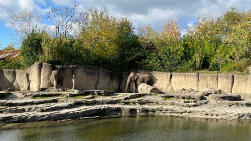 Wildlands Adventure Zoo Emmen - HolidaySG
