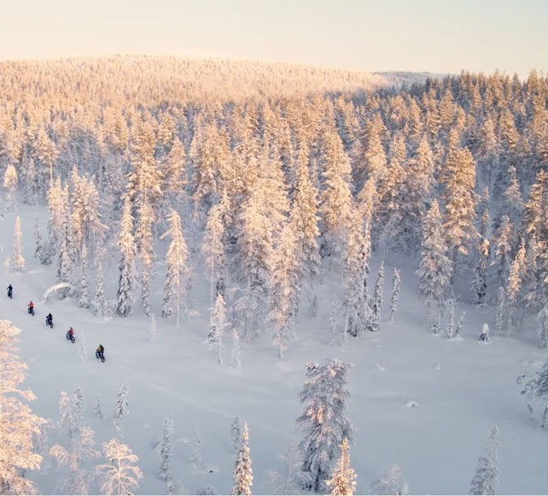 E-FatBike experience in small groups