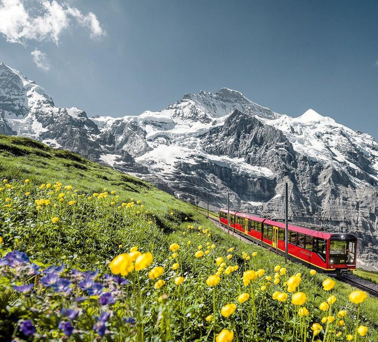 From Interlaken: Day Trip to Jungfraujoch by Bus and Train