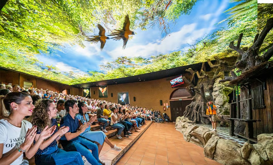 Tenerife: Loro Parque Entry Ticket - HolidaySG