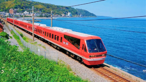 1-day tour to Izu Kyuko Line + Jogasaki Coast, including train tickets Day Tours