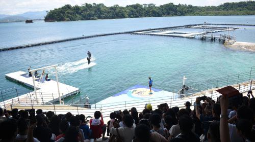 Ocean Adventure, Subic Bay - HolidaySG