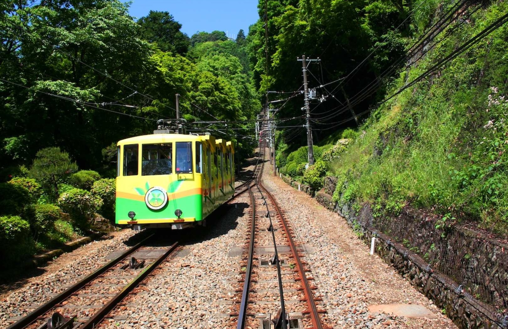 Keio One-Day Ticket with Mt. Takao Cable Car and Chair Lift Tickets - HolidaySG