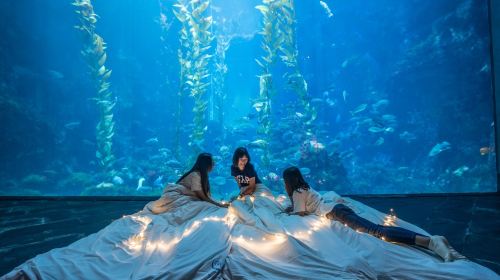 National Museum of Marine Biology & Aquarium - HolidaySG
